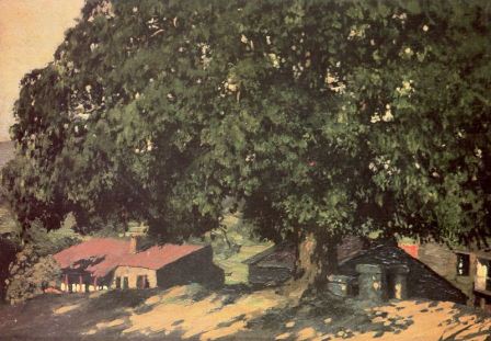 Castelao, Oak trees in the village.