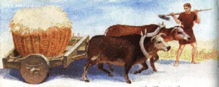 O plaustrum romano
