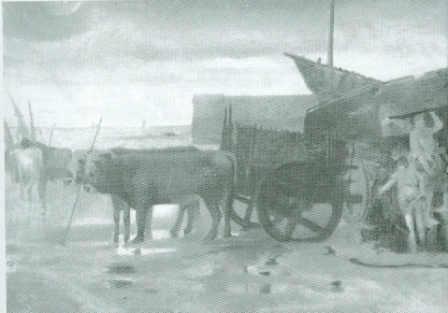 Jenaro Carrero, Carros en el puerto de Noia.