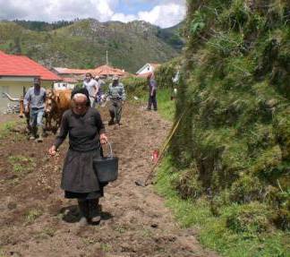 Benito Rodríguez Santos, Labranza en la tierras de Sistelo.